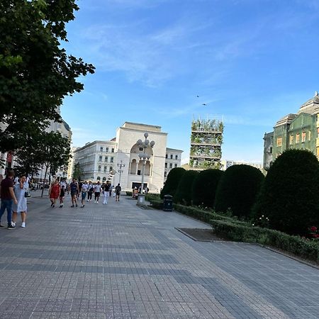 Ultracentral Luxury Apartament Timisoara Bagian luar foto