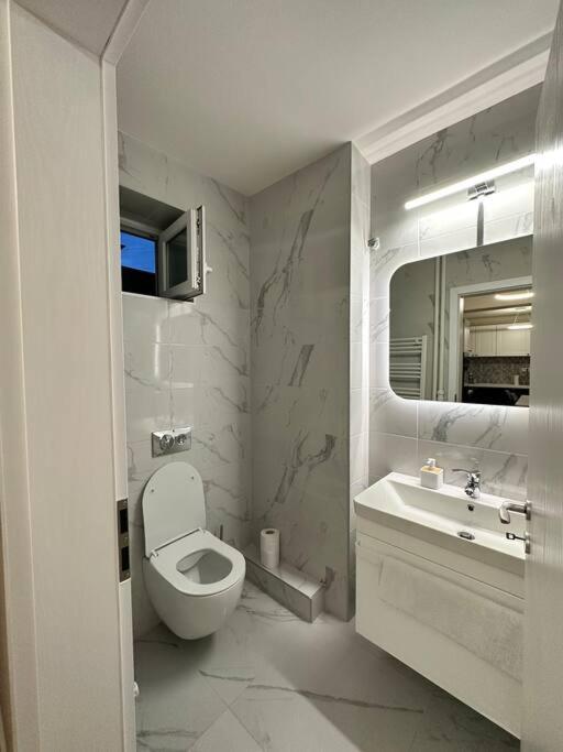 Ultracentral Luxury Apartament Timisoara Bagian luar foto