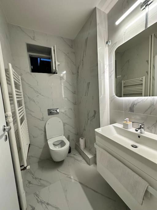 Ultracentral Luxury Apartament Timisoara Bagian luar foto